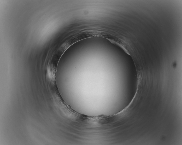 X0000111460190200907201121