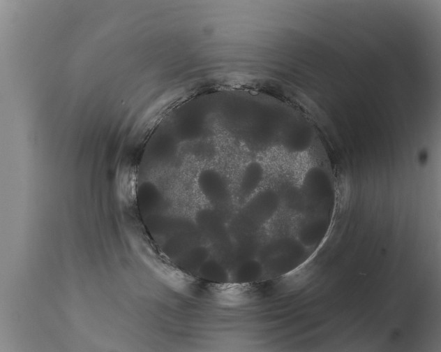 X0000111460191200907201121