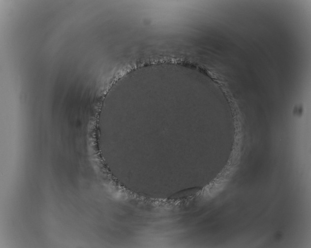 X0000111460192200907201121