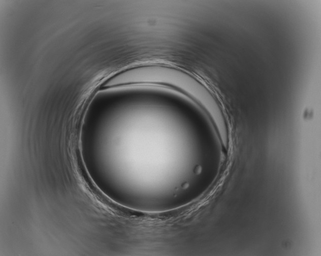 X0000111460193200907201120