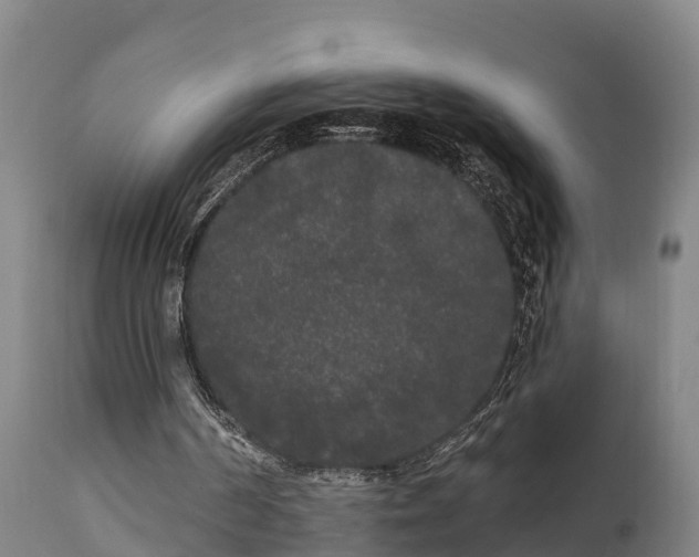 X0000111460194200907201120