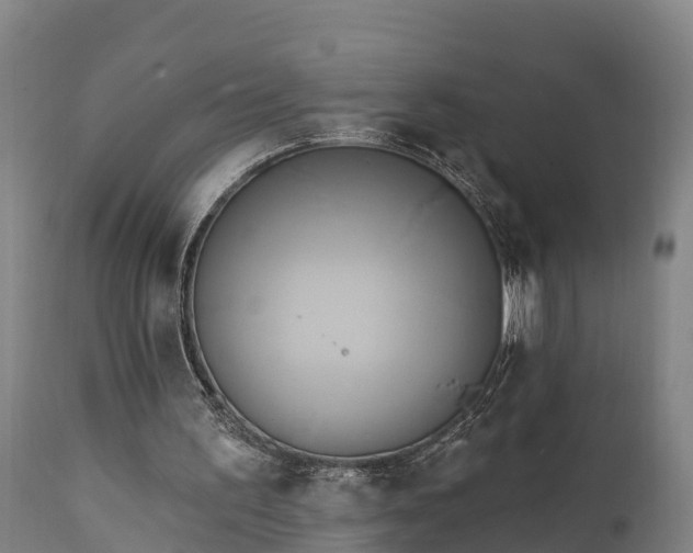 X0000111460195200907201120