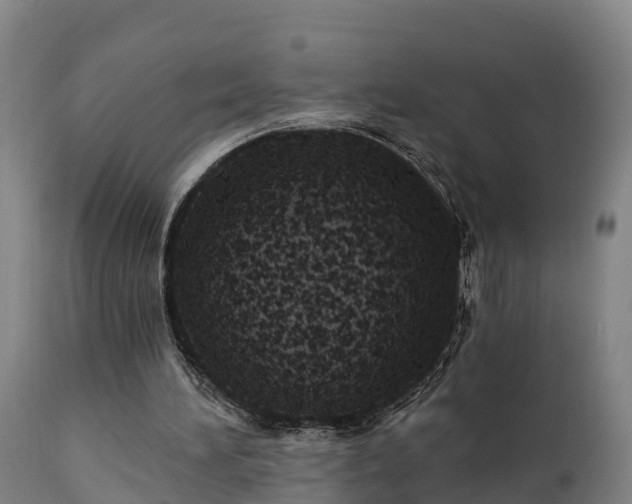 X0000111460196200907201120