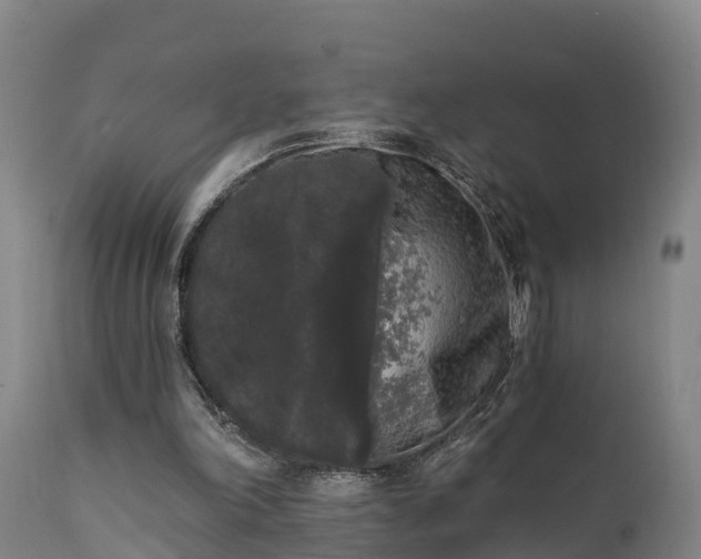 X0000111460198200907201120