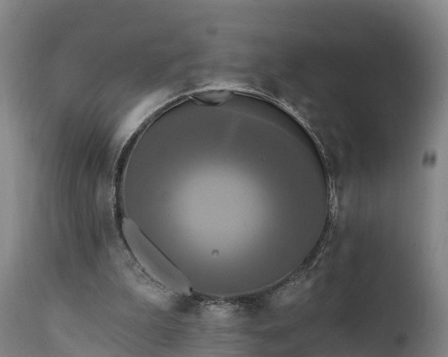 X0000111460199200907201120