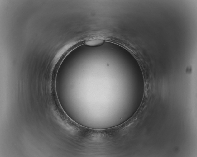 X0000111460200200907201120