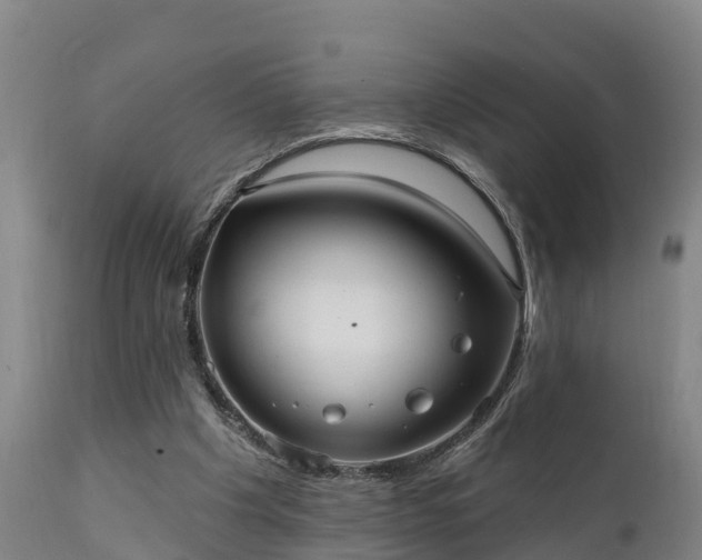 X0000111460201200907201120