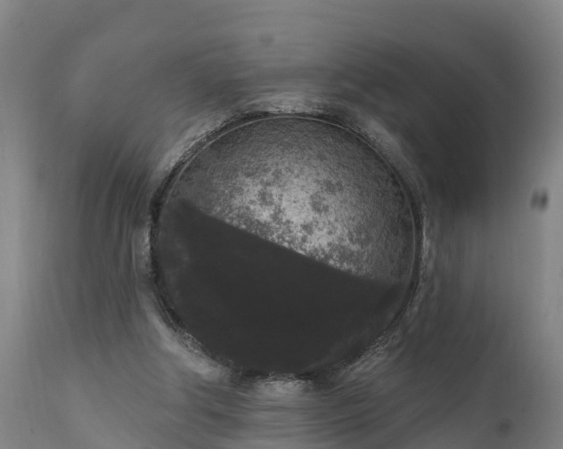 X0000111460202200907201120