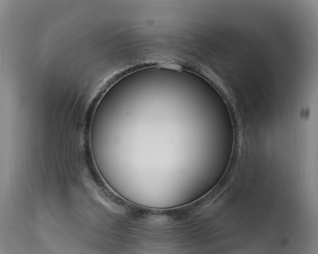 X0000111460203200907201120