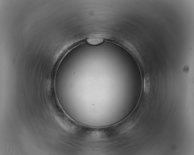 X0000111460204200907201120