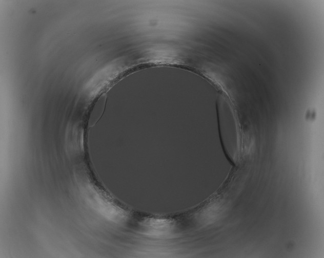 X0000111460205200907201120