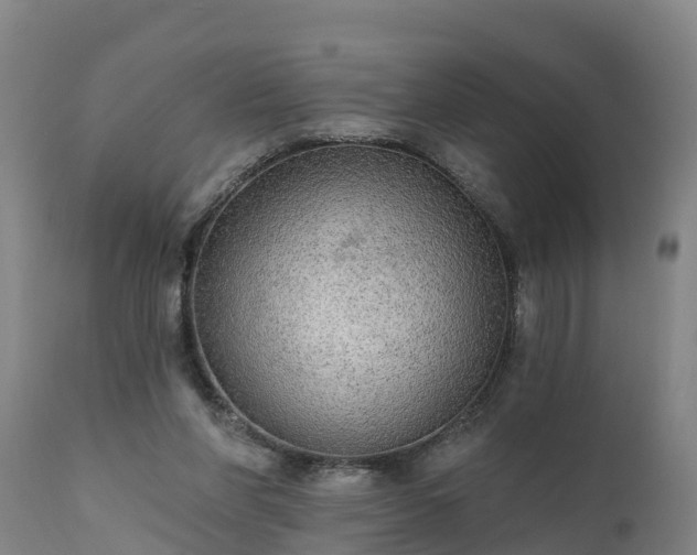 X0000111460206200907201120