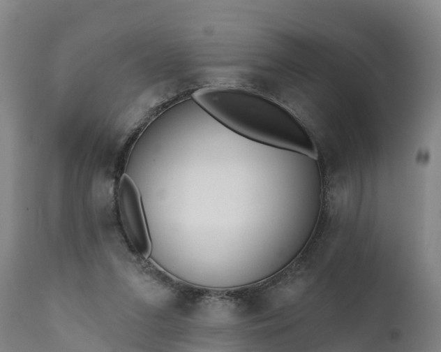 X0000111460207200907201120