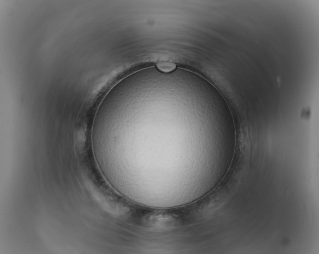 X0000111460208200907201120