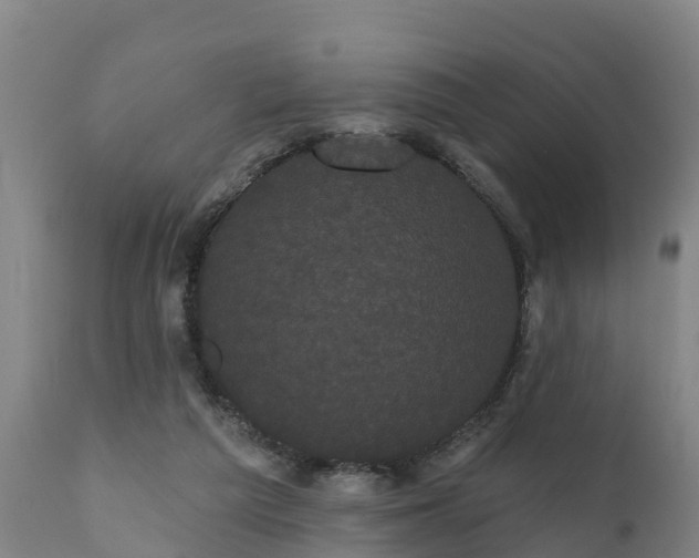 X0000111460209200907201120