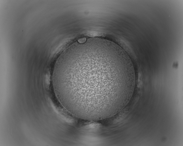 X0000111460210200907201120