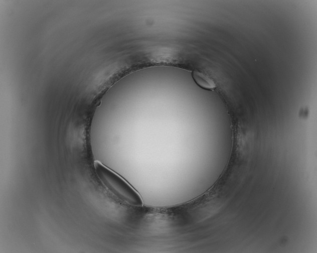 X0000111460211200907201120