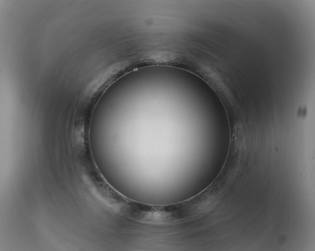 X0000111460212200907201120