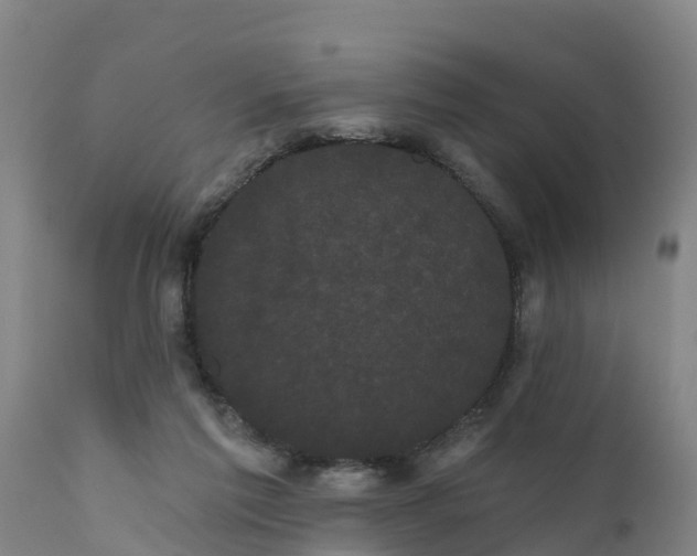 X0000111460213200907201120