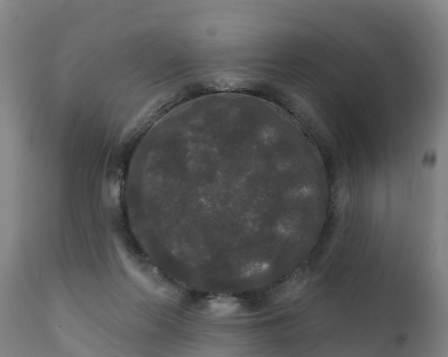 X0000111460214200907201120