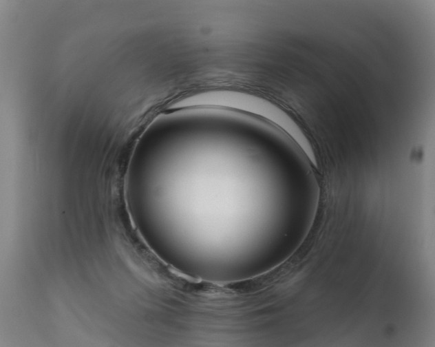 X0000111460215200907201120