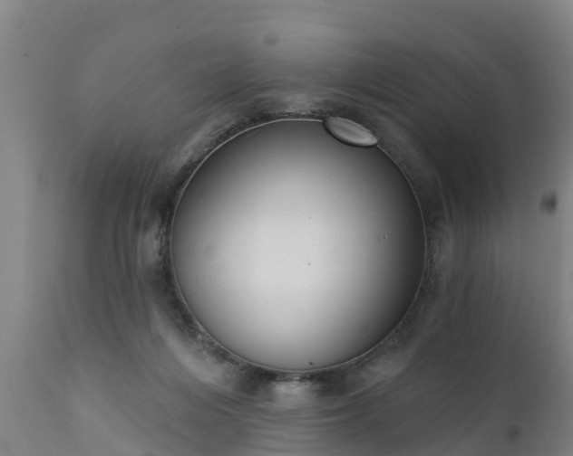 X0000111460216200907201120