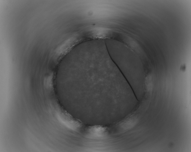 X0000111460217200907201120