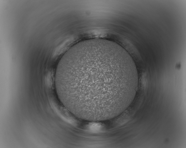 X0000111460218200907201120