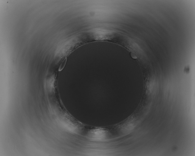 X0000111460219200907201120