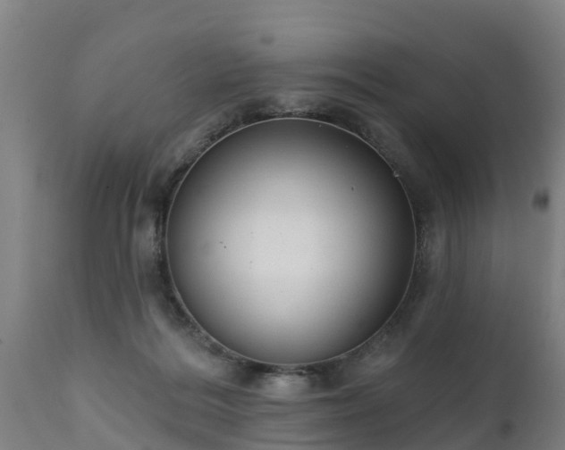 X0000111460220200907201120