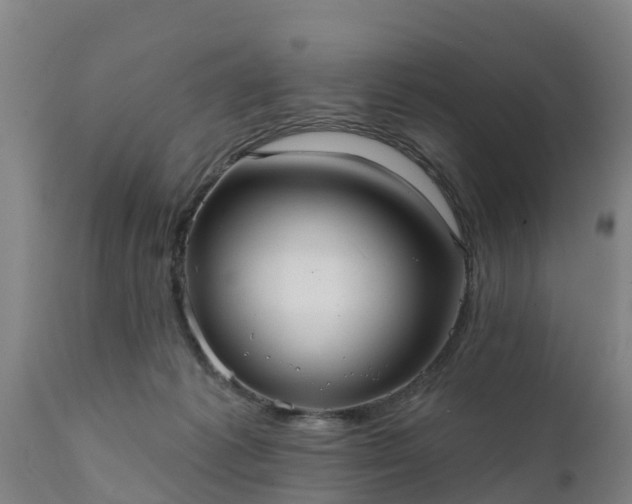 X0000111460221200907201120