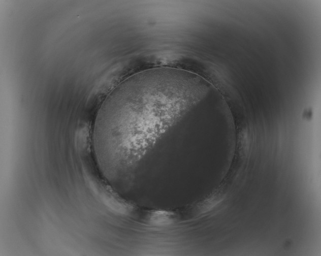 X0000111460222200907201120