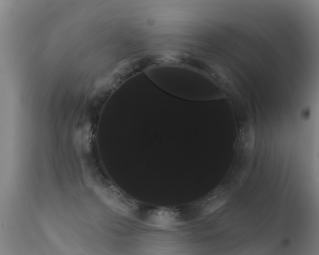 X0000111460223200907201120