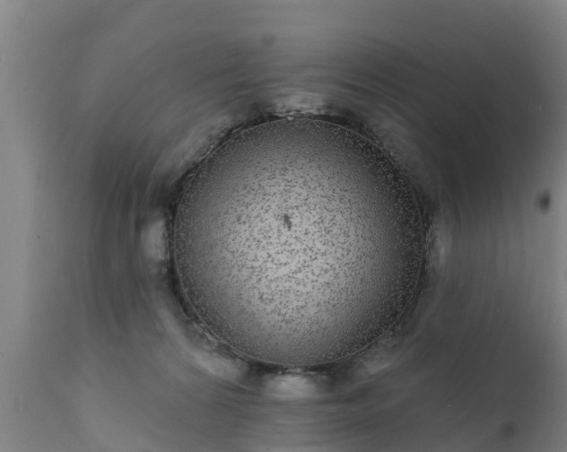 X0000111460224200907201120