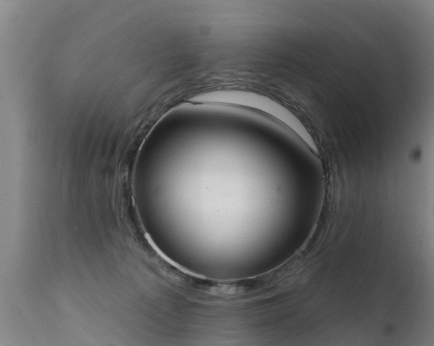 X0000111460225200907201120