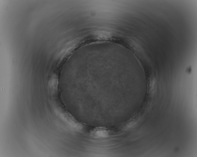 X0000111460228200907201120