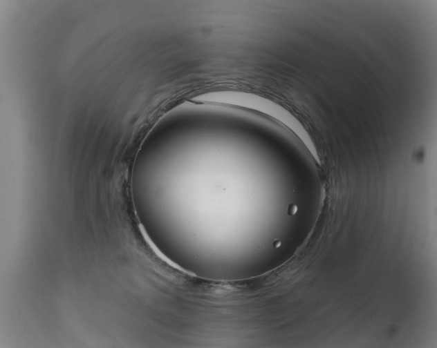 X0000111460229200907201120