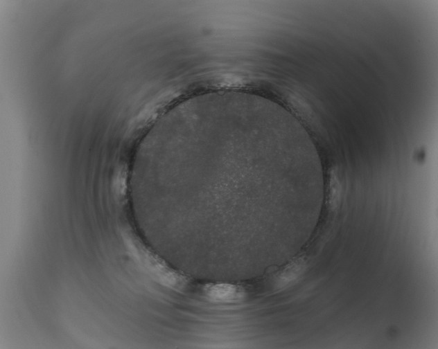 X0000111460230200907201120