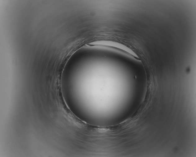 X0000111460233200907201120