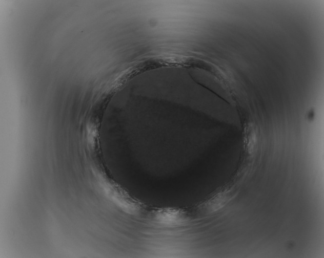 X0000111460235200907201120