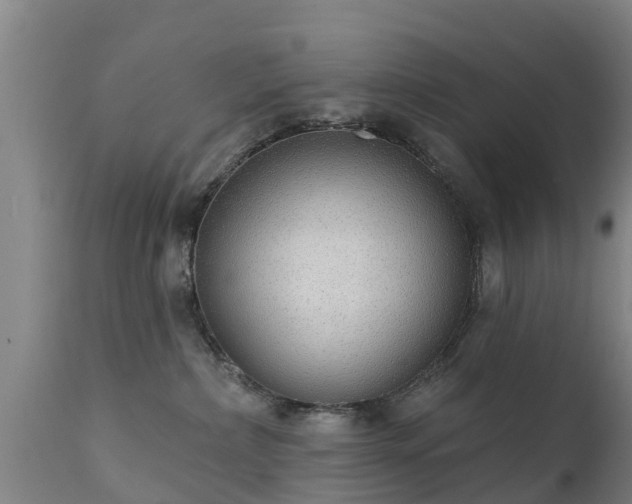 X0000111460236200907201120