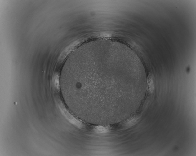 X0000111460238200907201120