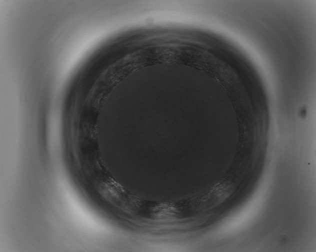 X0000111460239200907201120