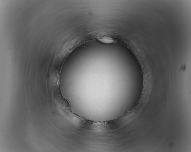 X0000111460240200907201120