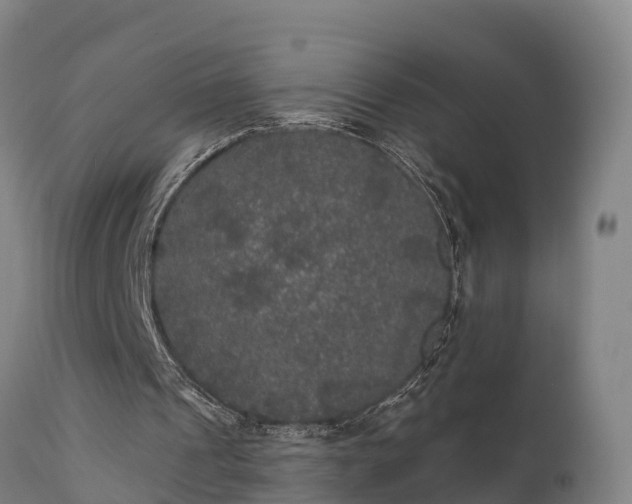 X0000111460241200907201119