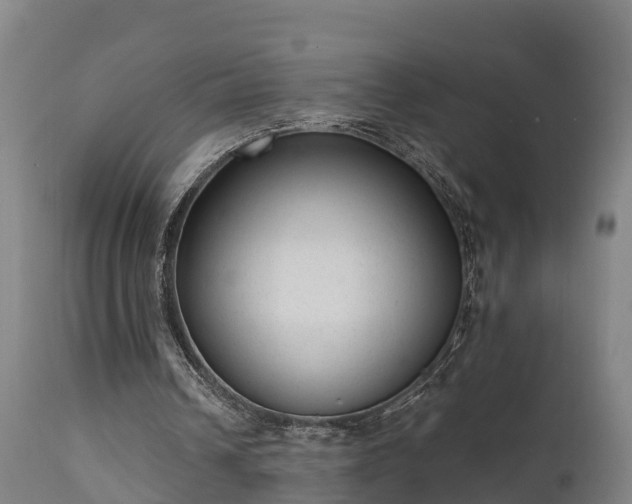 X0000111460242200907201119