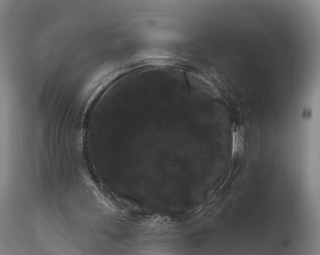 X0000111460243200907201119