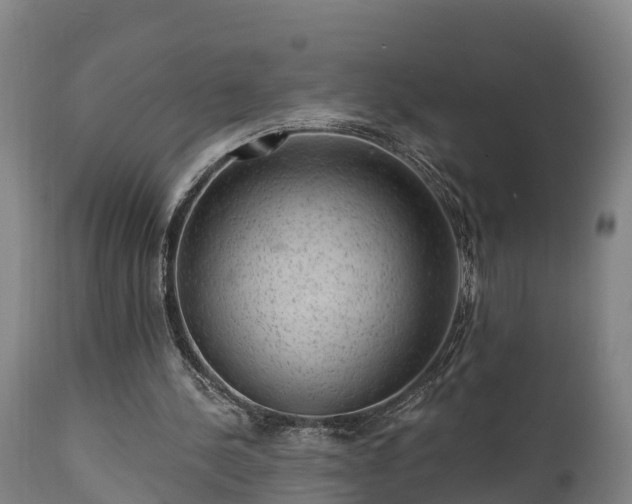 X0000111460244200907201119