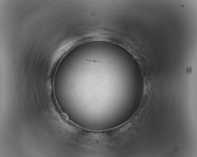 X0000111460245200907201119