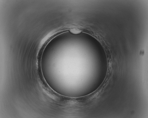 X0000111460246200907201119